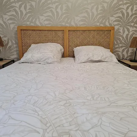 Douces Vagues - Hypercentre Climatise * ナルボンヌ