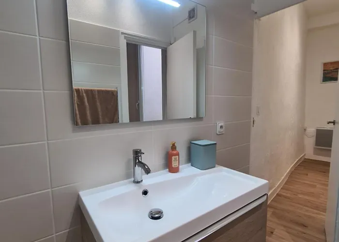 Douces Vagues - Hypercentre Climatise Apartment *